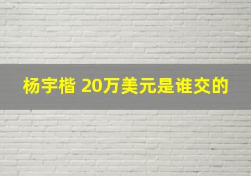 杨宇楷 20万美元是谁交的